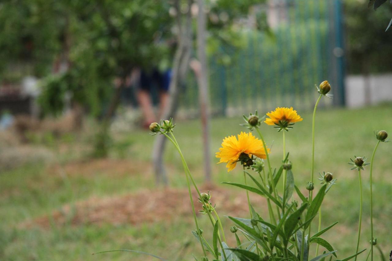 Appartamento Shtepi Pushimi Durrës Esterno foto